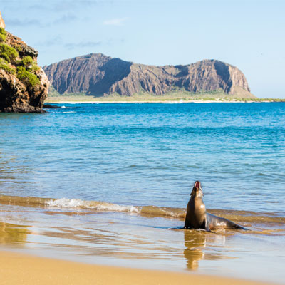 หมู่เกาะกาลาปากอส