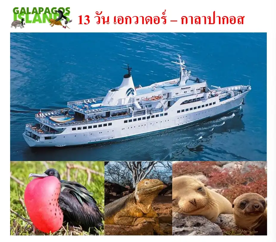13 วัน เอกวาดอร์ – กาลาปากอส